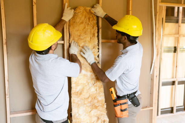 Best Commercial Insulation Services  in Morenci, AZ